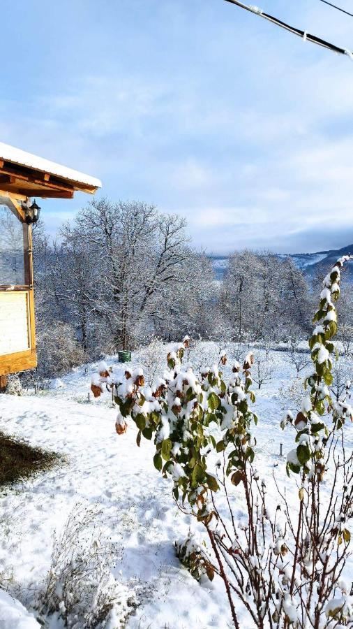 Casa Veche Corbeni Otel Dış mekan fotoğraf