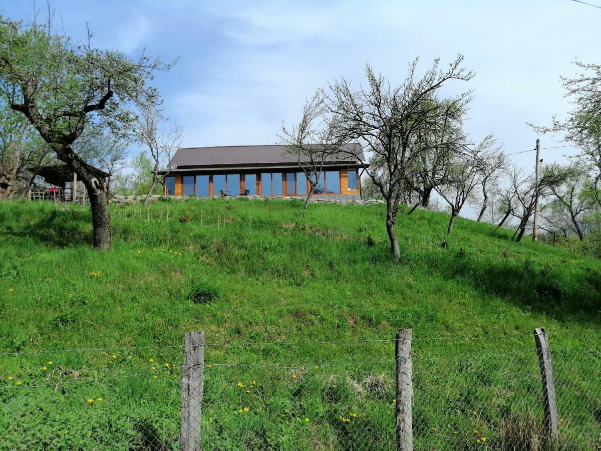 Casa Veche Corbeni Otel Dış mekan fotoğraf